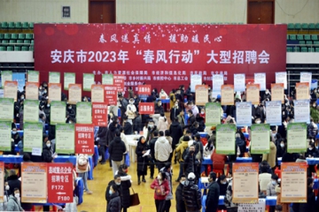 春风送真情  援助暖民心---安徽老哥网官网集团参加全市招聘会系列活动